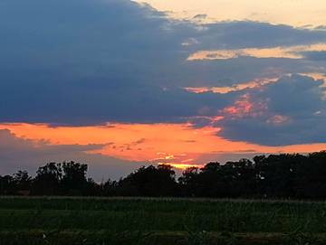 Bungalow für 4 Personen in Mönkebude, Vorpommern, Bild 4