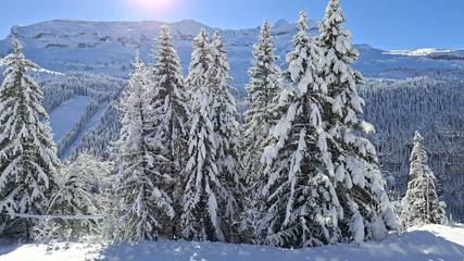 Chalet pour 4 Personnes dans Flaine, Grand Massif, Photo 2