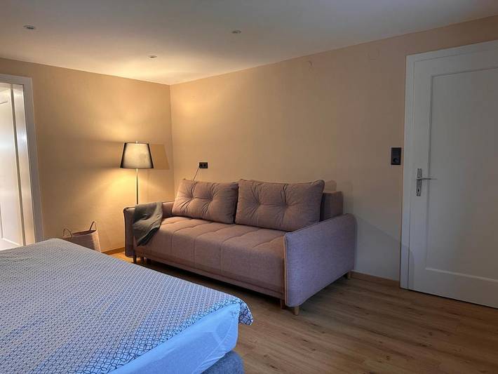 Ferienwohnung für 4 Personen, mit Garten und Ausblick, mit Haustier in Dalaas - 4