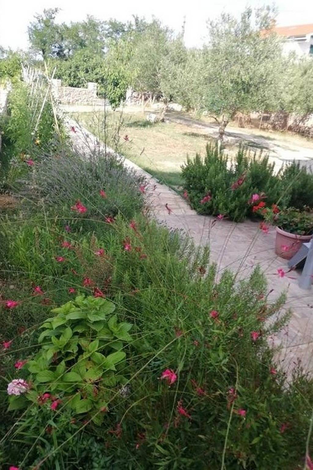 Entire apartment, One bedroom apartment with terrace and sea view Tkon, Pašman A-24280-a in Tkon, Pasman
