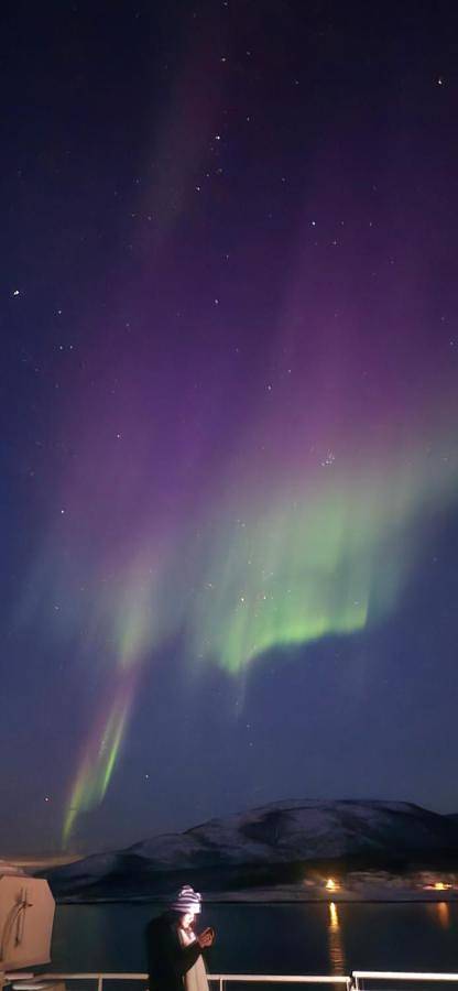 Ferienhaus für 13 Personen, mit Garten und Ausblick in Senja - 3