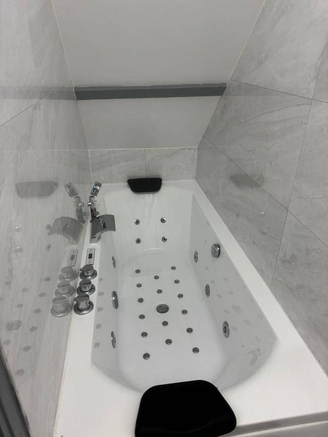 Gîte pour 2 personnes, avec jacuzzi, animaux acceptés à La Chapelle-Saint-Mesmin - 4