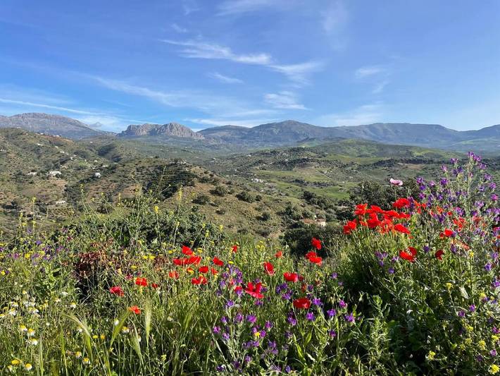 Casa rural para 6 personas, con Balcón y Jacuzzi además de Terraza y Jardín en Comares - 3