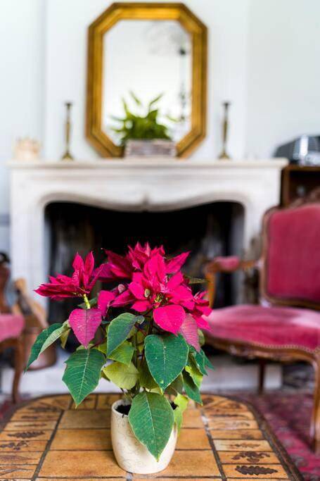 Location de vacances pour 6 personnes, avec terrasse et jardin à Coutras - 4