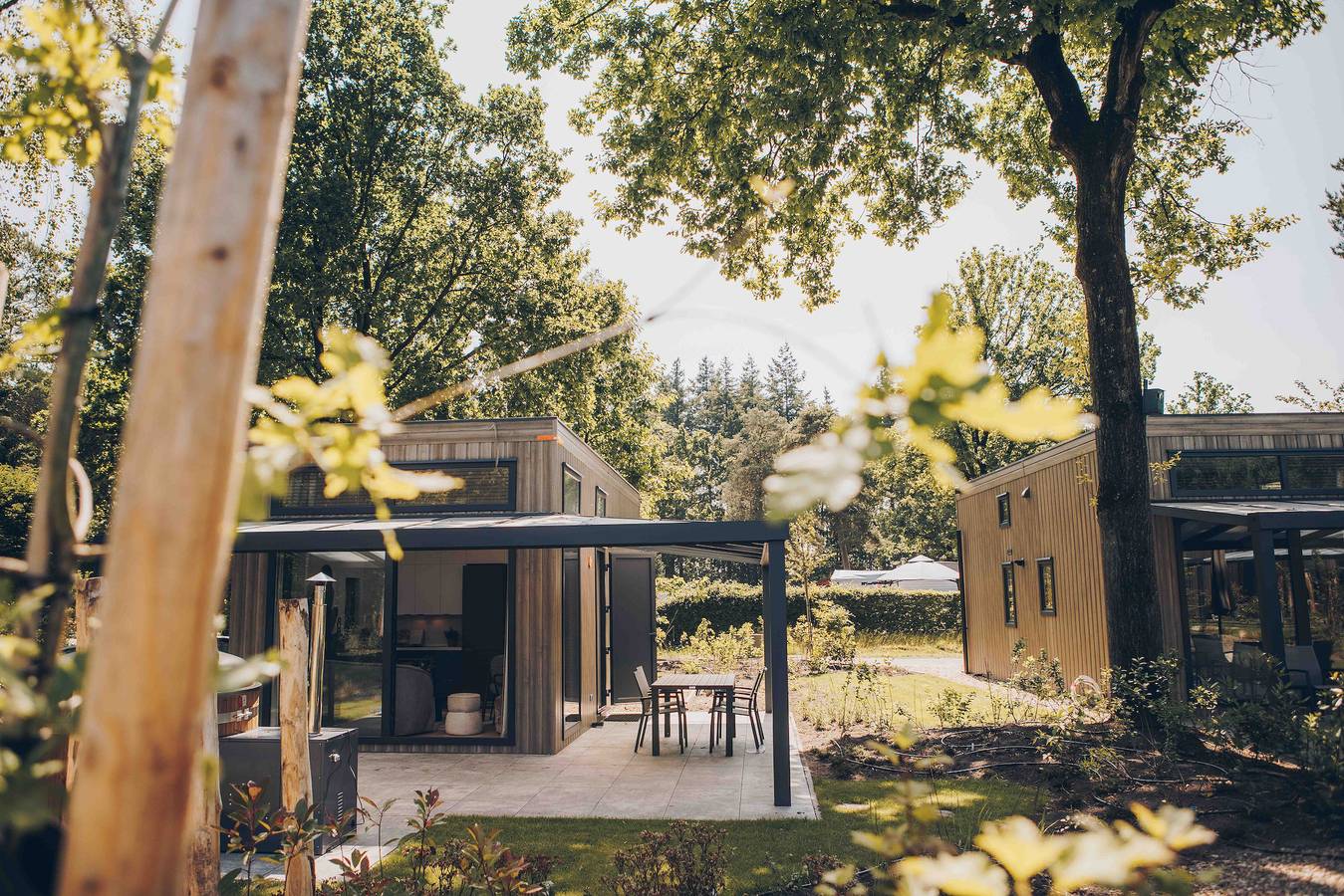 Veluwepark de Bosgraaf — Reeëndal Lodge Comfort mit Hot Tub | 4 Personen in Veluwe