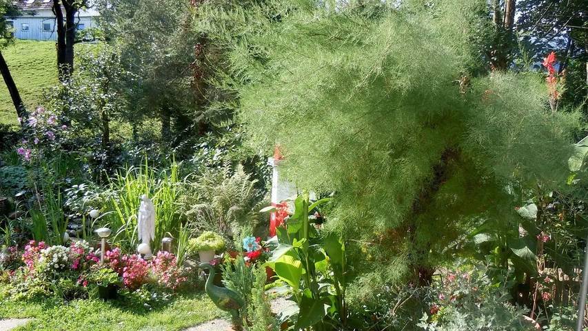 Ferienwohnung für 3 Personen, mit Garten, mit Haustier in Kirchzarten