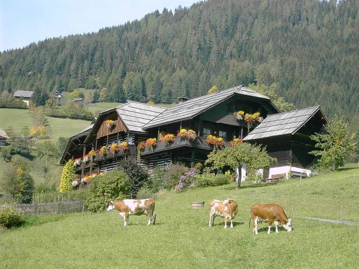 Ferienwohnung für 2 Personen, mit Ausblick und Garten sowie Balkon in Nockberge - 3