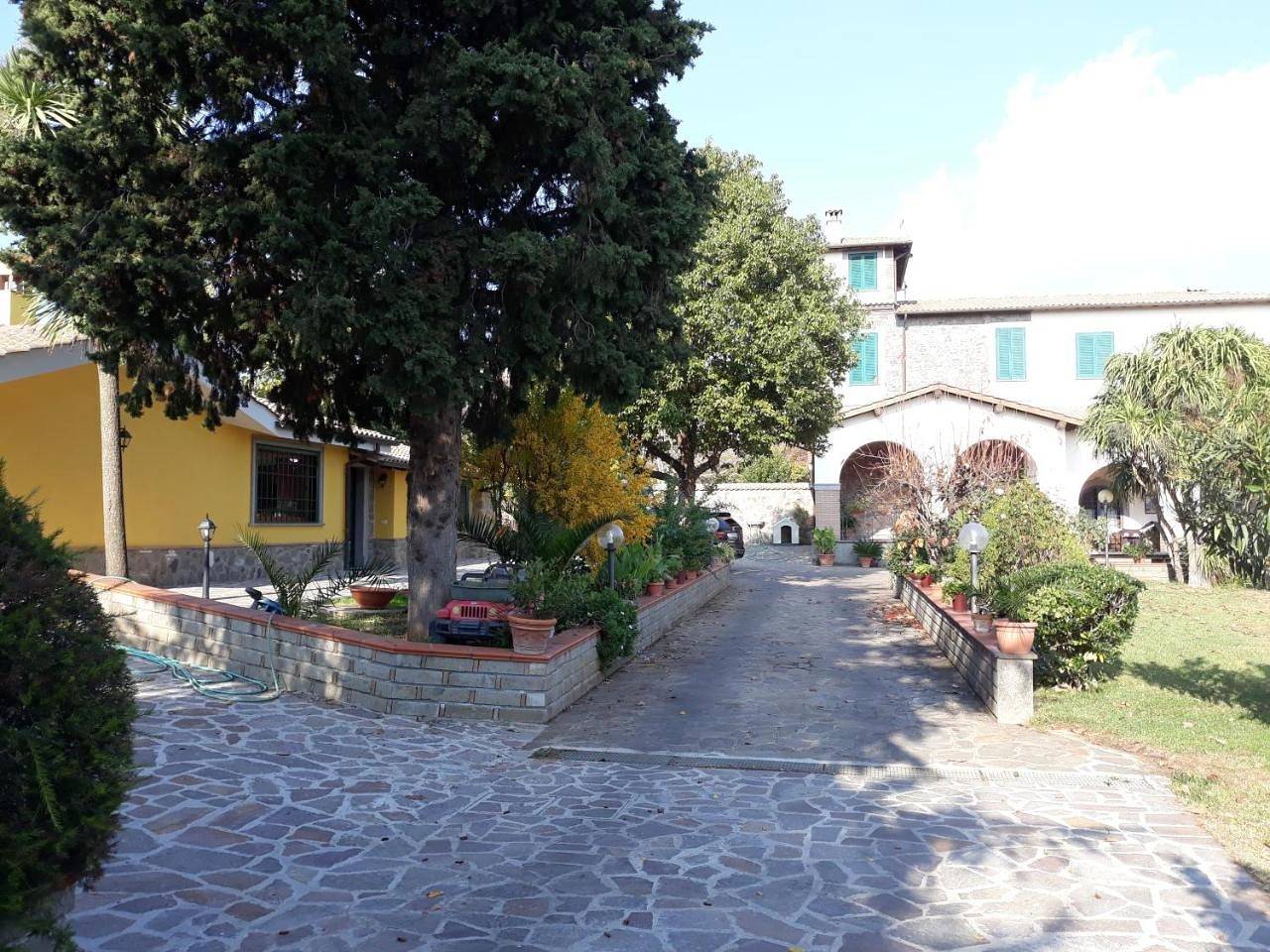 La Camelia B&B in Velletri, Castelli Romani