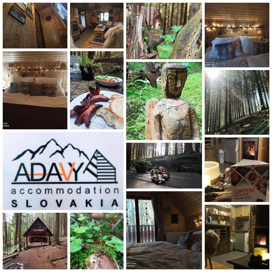Chata Adavy in Low Tatras