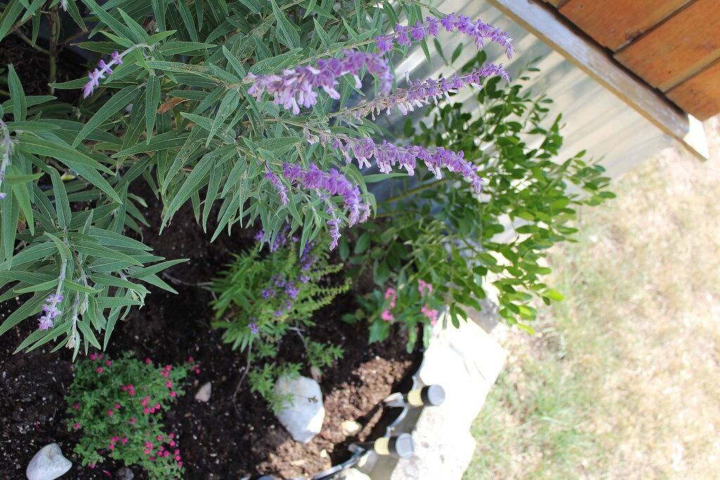 Little Frio Cabin - Cozy Log Cabin in Uvalde County