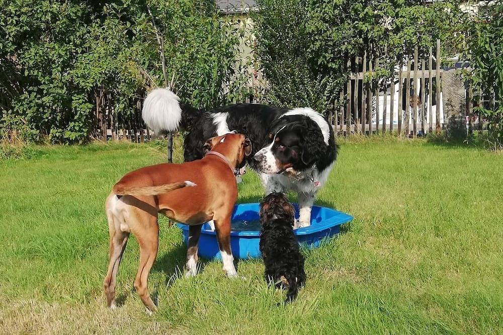 Ganze Wohnung, Ferienhof Höhensonne - Urlaub mit Hund - Ferienwohnung 1, 3 Schlafräume in Rathmannsdorf, Elbsandsteingebirge