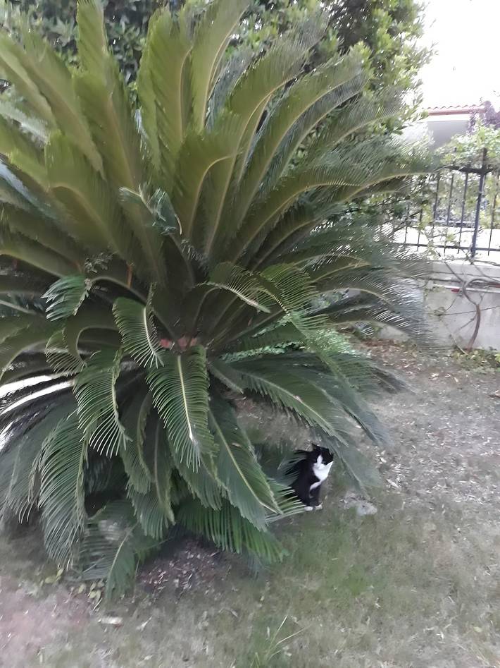 Appartamento vacanze per 6 persone, con giardino, adatto a famiglie con bambini - 1
