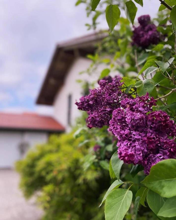 Gîte pour 6 personnes, avec balcon et vue à Irschenberg - 2