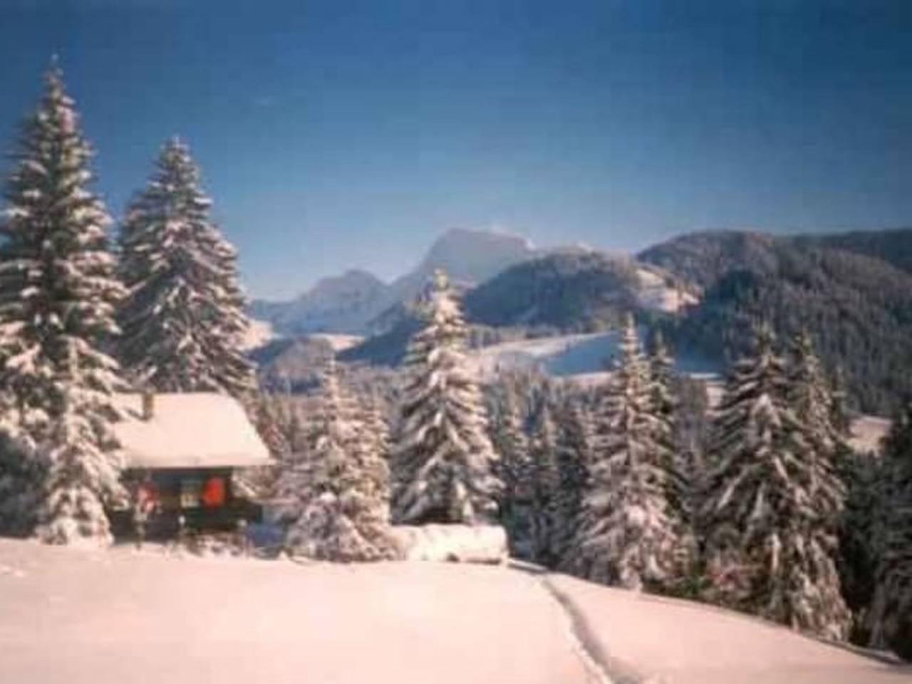Maiensäss Romantica in Châtel-Saint-Denis, Lago Lemán