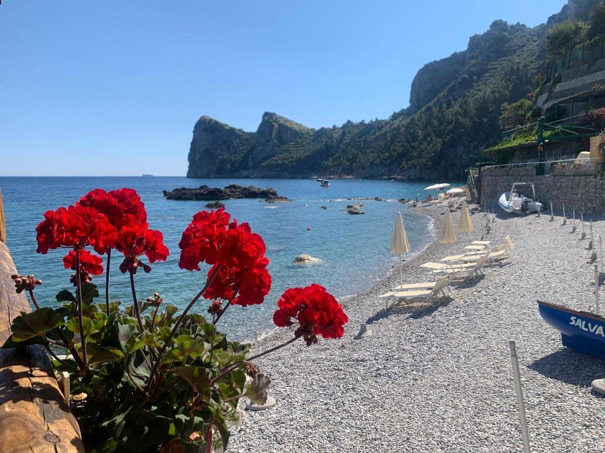 Appartamento intero, L'Angolo di Felicia in Nerano, Massa Lubrense