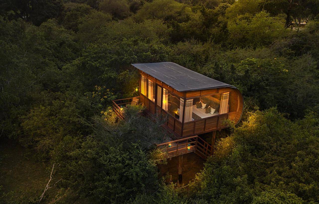 Leopard Nest - Glamping in Yala in Southern Province