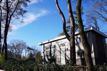 Vakantiepark voor 4 Personen in Veluwe, Gelderland, Afbeelding 2