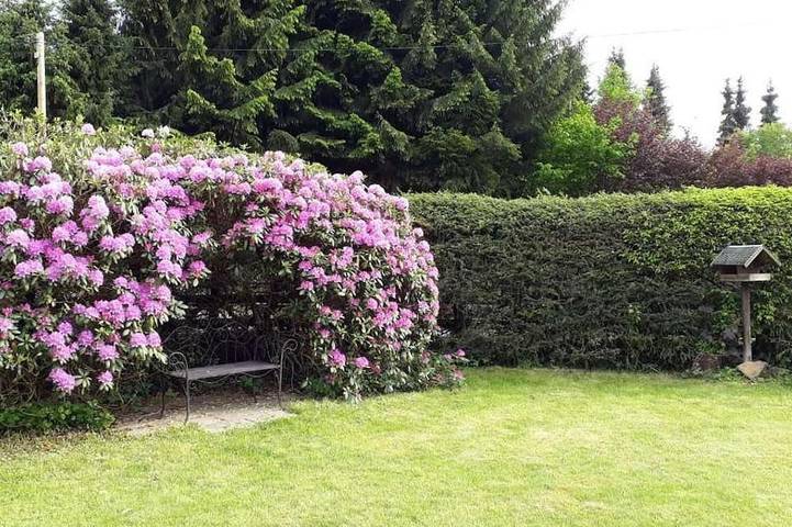 Ferienhaus für 2 Personen, mit Garten und Sauna im Westerwald - 4