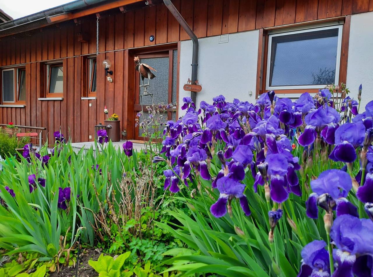 Ganze Ferienwohnung, Ferienwohnung Lieblingsplatz - 2-Zimmer-Fewo, 75 m², Dg in Radolfzell am Bodensee, Landkreis Konstanz