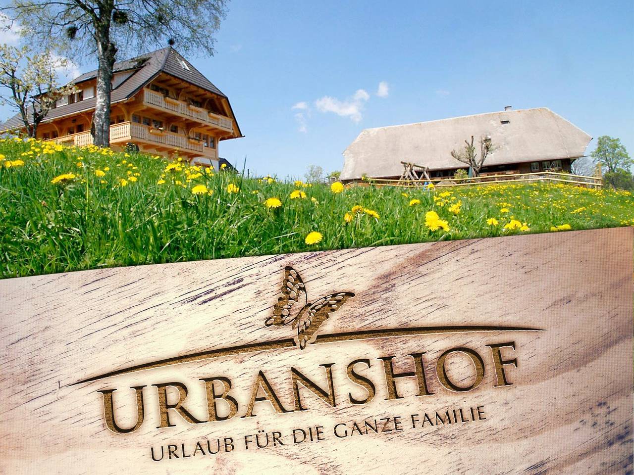 Ganze Wohnung, Apartment 'Titisee' mit Bergblick, privater Terrasse und Wlan in Hinterzarten, Südschwarzwald
