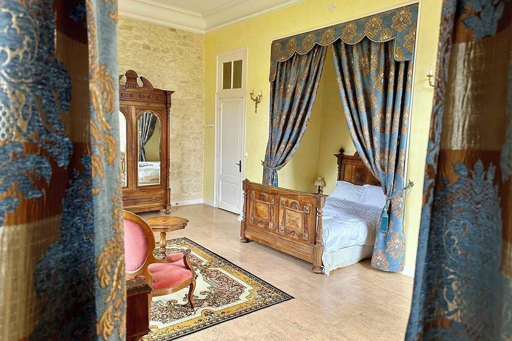 Fairytale Chateau with pool surrounded by vineyard and parc in Blaye, Región de Blaye