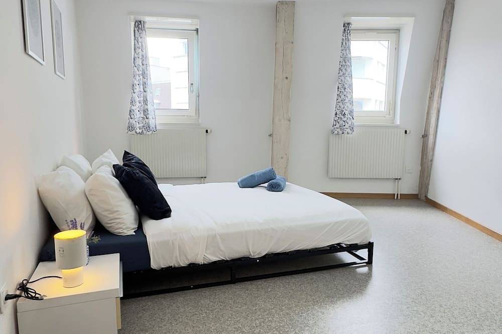 Ganze Wohnung, Stunning cozy and bright apartment, 1 min walk from the station and Delémont in Delémont, Kanton Jura