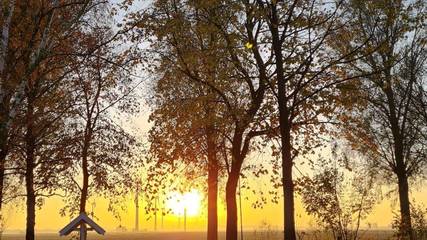 Ferienwohnung für 5 Personen in Krummhörn, Landkreis Aurich, Bild 4