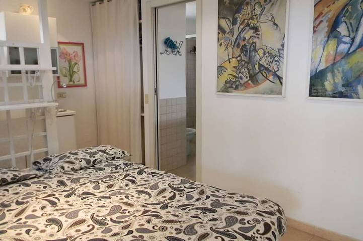 Apartamento entero, Janículo cerca de Trastevere Vaticano estudio agradable bien equipado con una gran terraza in Roma, Provincia de Roma