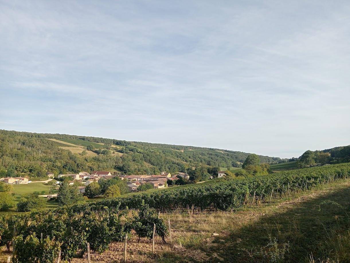 La Fleurette in Chardonnay (Mâcon), Région de Mâcon