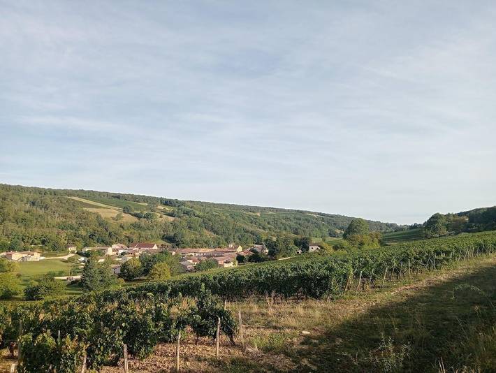 La Fleurette in Chardonnay (Mâcon), Mâcon und Umgebung