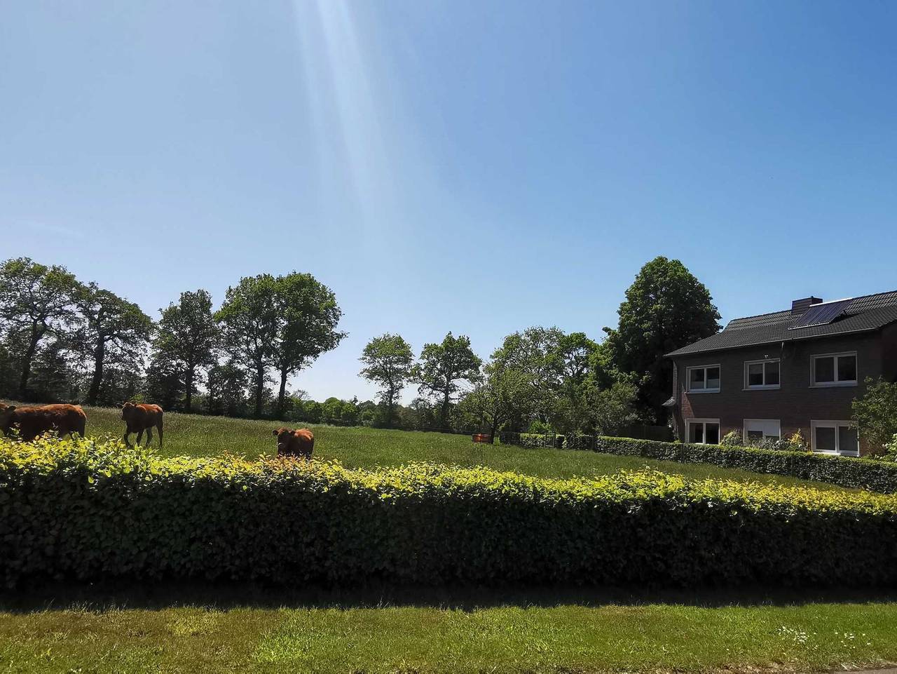 Ganze Ferienwohnung, Ferienwohnung Zum Bargefeld 35662 - Ferienwohnung Zum Bargefeld in Uplengen, Ostfriesland