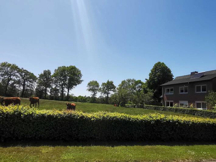 Ganze Ferienwohnung, Ferienwohnung Zum Bargefeld 35662 - Ferienwohnung Zum Bargefeld in Uplengen, Landkreis Leer