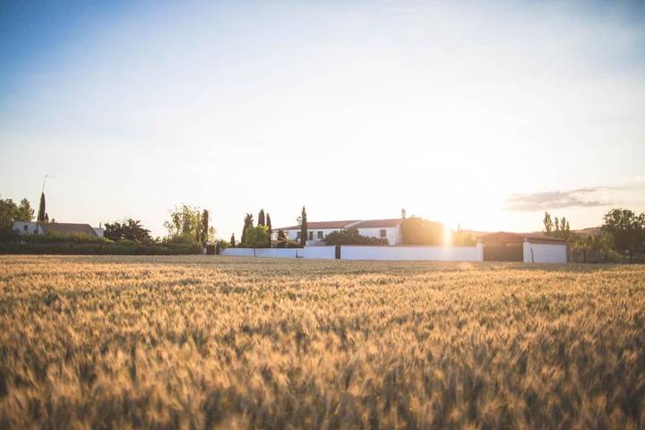 Casa rural para 3 personas, con vistas además de jardín y piscina, Se admiten mascotas en La Alcarria - 4