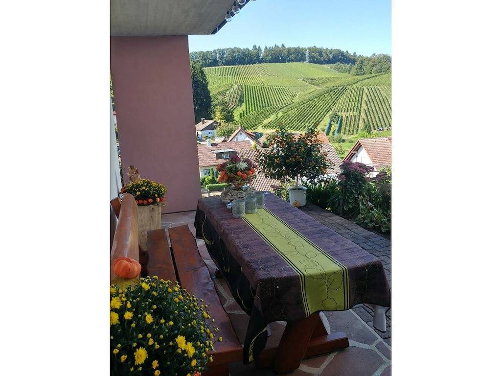 Vakantieappartement met 2 slaapkamers, foto 6