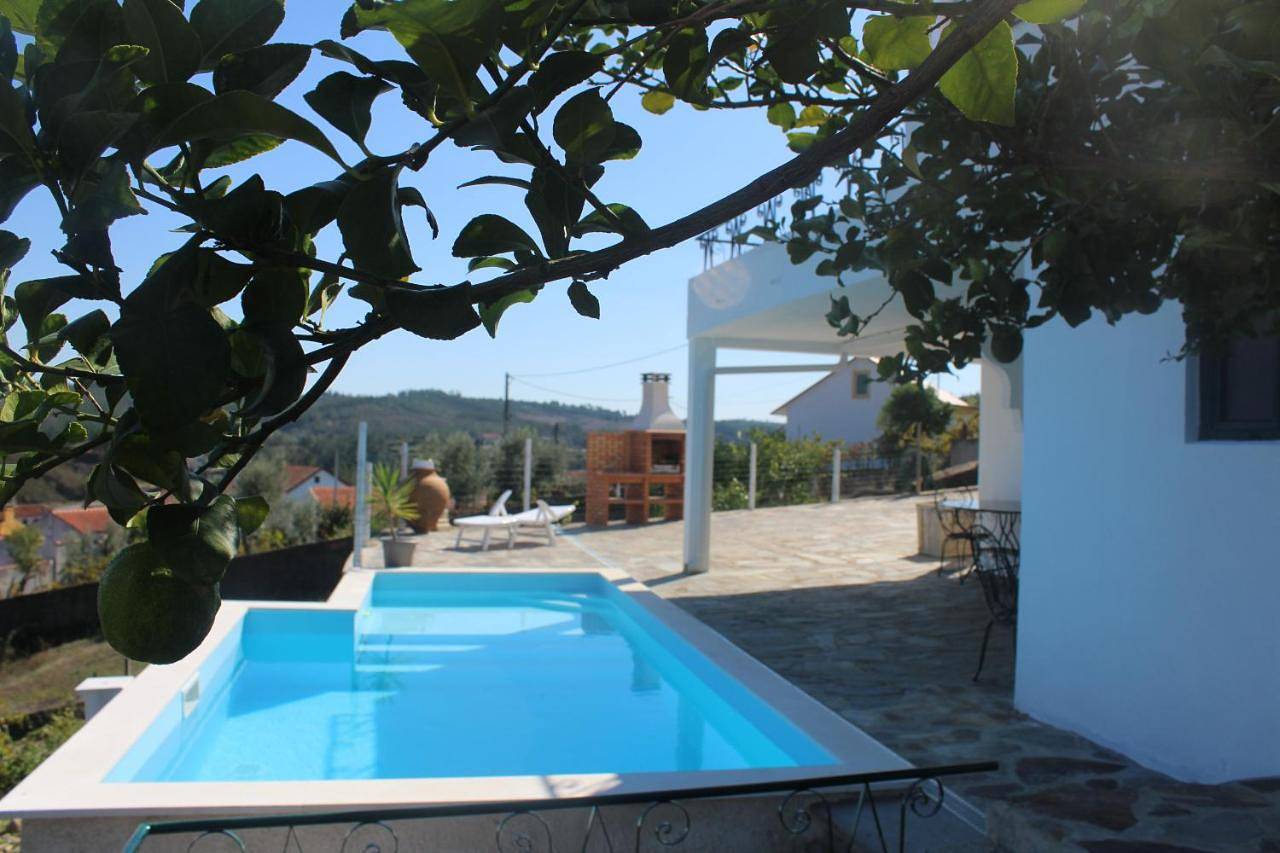 Two-Bedroom House in Proença-a-Nova, Aldeias do Xisto