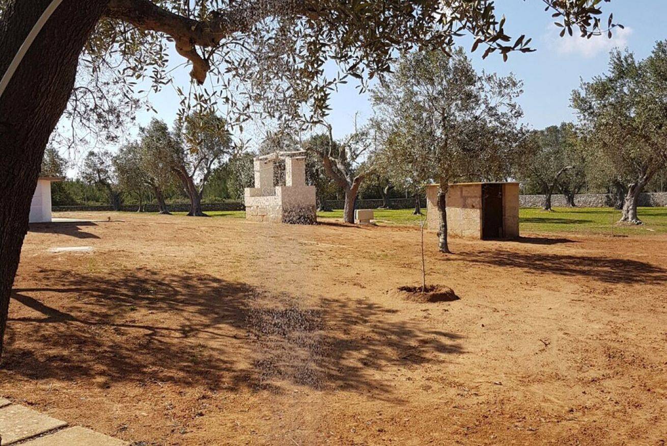 Entire apartment, Trullo in a Olive Grove in Melendugno, Lecce Province