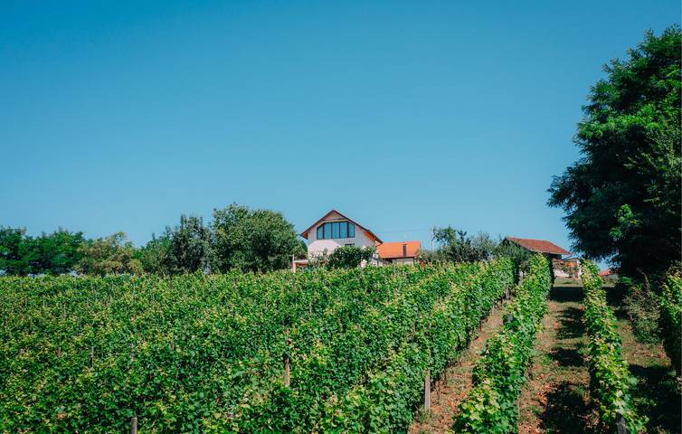 Maison de vacances pour 6 personnes, avec sauna ainsi que vue et jardin - 1