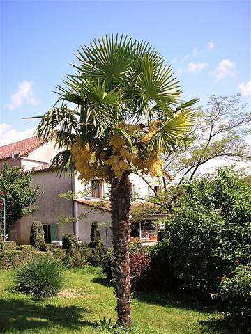 Chambre d’hôte pour 3 personnes, avec jardin à Berganty