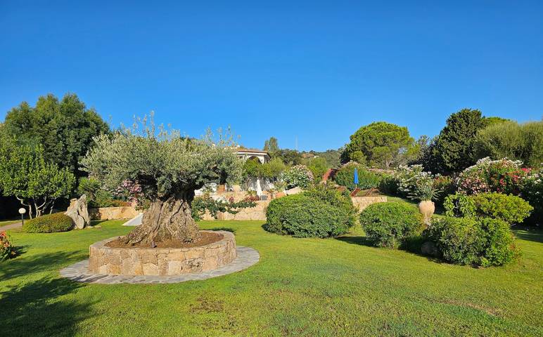 Ferienhaus für 11 Personen, mit Balkon und Garten auf Sardinien - 4