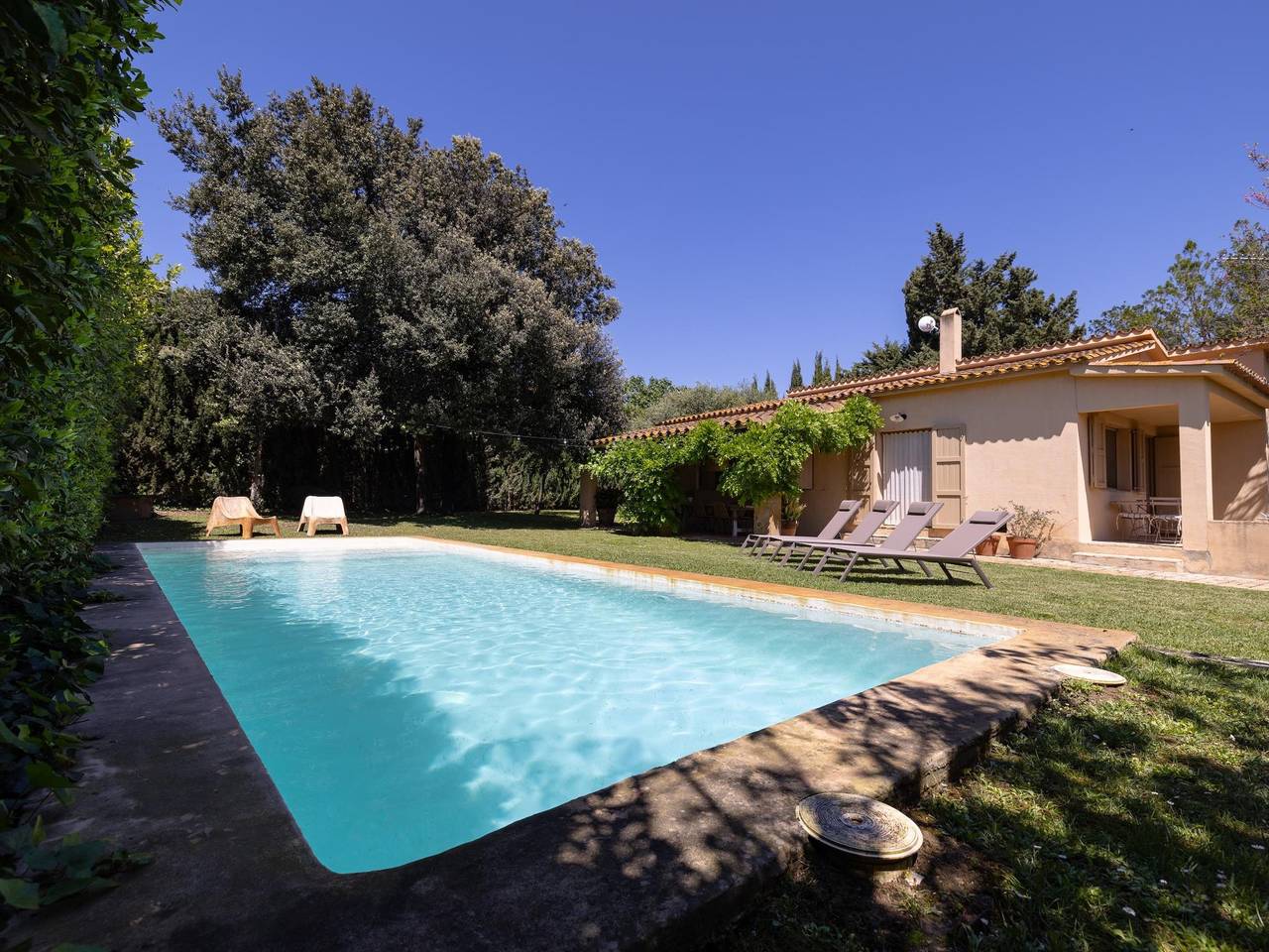 Les Alzines in Sant Miquel de Fluvià, Oberampurien