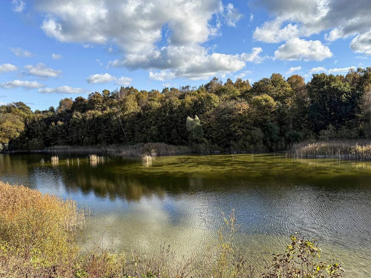 6 Personen Ferienhaus in Borup in Køge und Umgebung