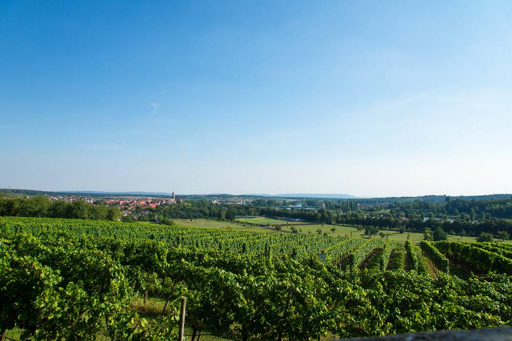 Weingut - Ferienwohnung Rudloff - Nordheimer Vögelein in Nordheim am Main, Región Viticola de Franconia