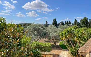 Finca in Felanitx, Mallorca Süden für 8 
