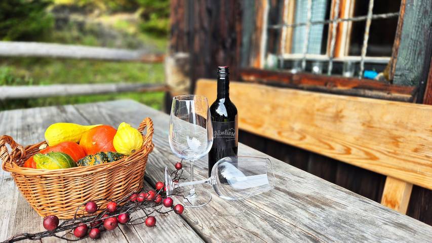 Hütte für 6 Personen, mit Garten, mit Haustier in Bad Hofgastein - 2