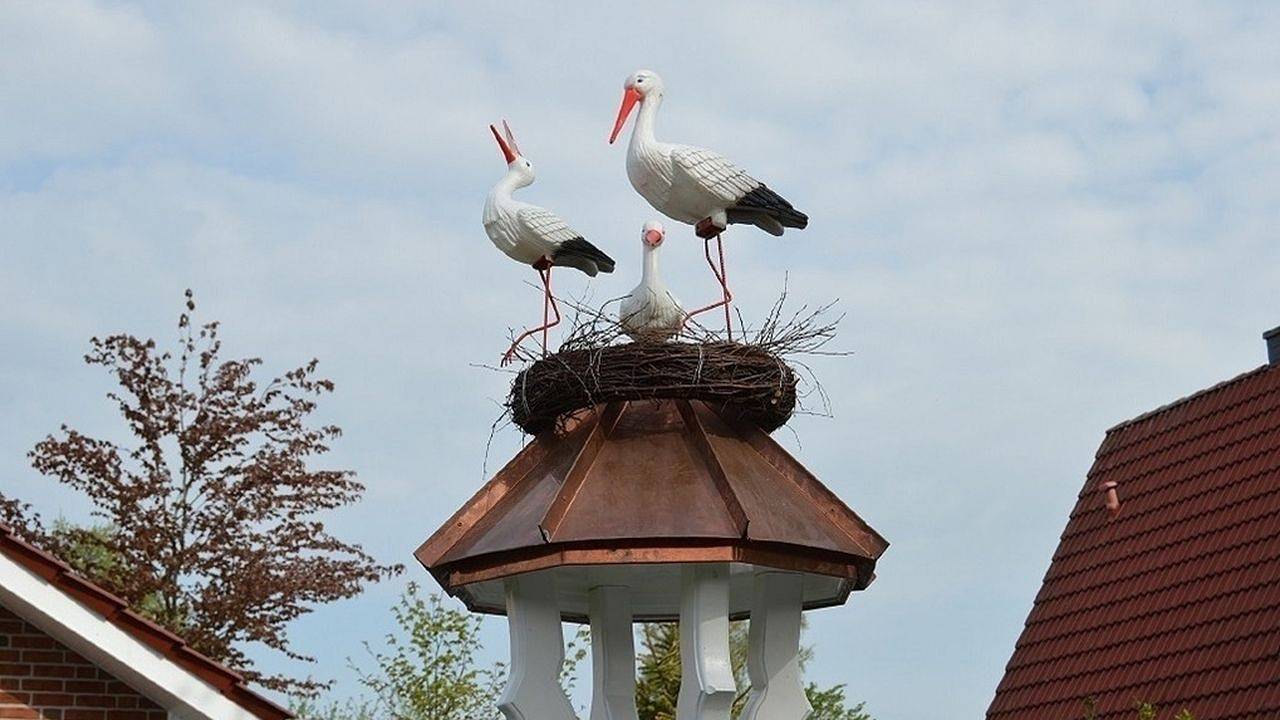 Ferienhaus für 4 Personen (100 m²) in Wiefelstede in Wiefelstede, Ammerland