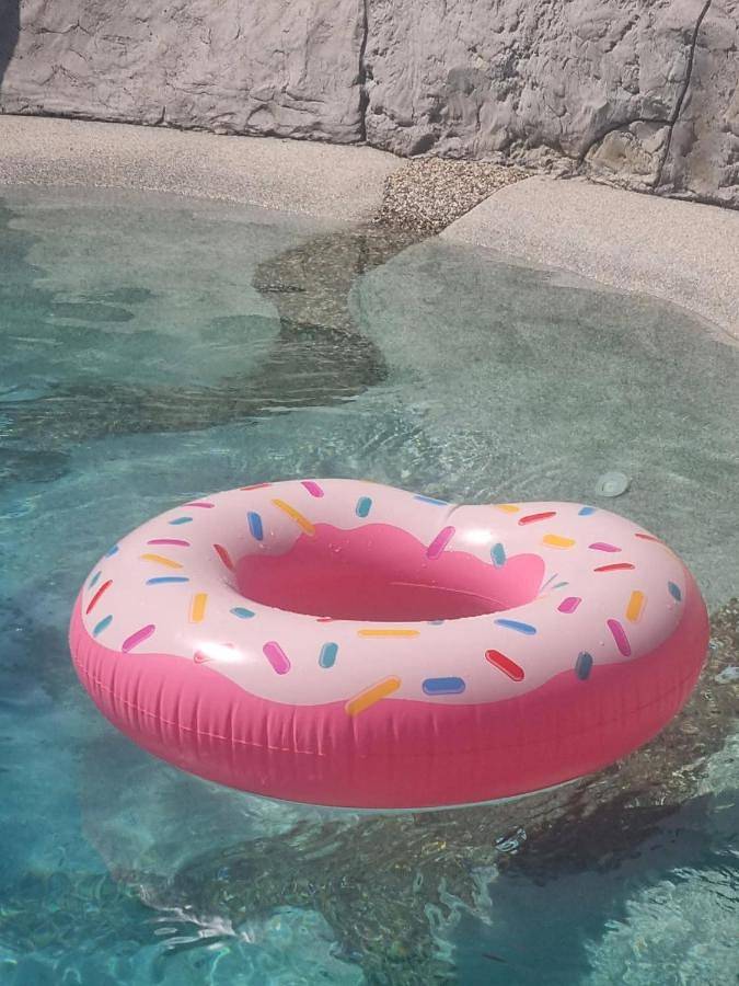 Location de vacances pour 6 personnes, avec piscine ainsi que vue et jardin à Noyelles-sur-Mer - 4