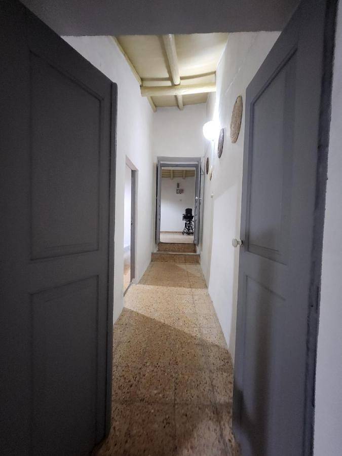 Location de vacances pour 6 personnes, avec jacuzzi ainsi que jardin et terrasse, animaux acceptés à Serpa - 3