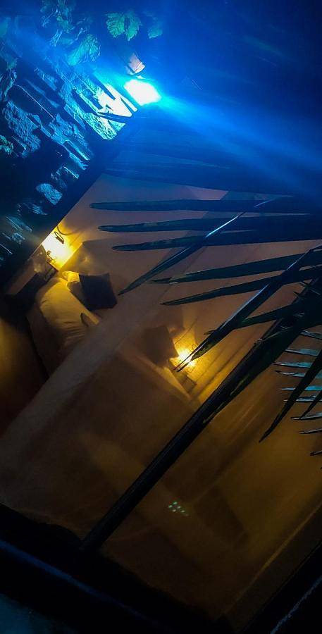 Chambre d’hôte pour 3 personnes, avec jardin et piscine, animaux acceptés à Penmarch - 4