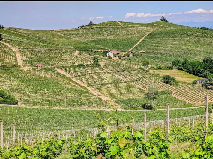 Location de vacances pour 5 personnes, avec jardin ainsi que vue et balcon à Cassine - 2