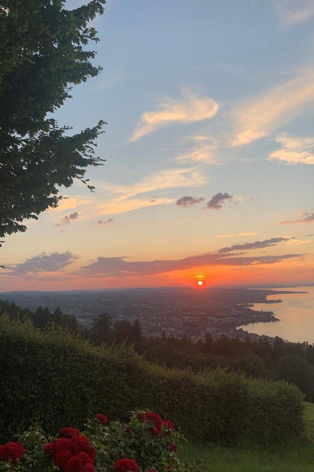 Unterbilchen in Bodensee (Schweiz)